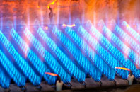 Rimpton gas fired boilers